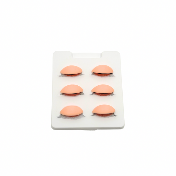 3D Lids